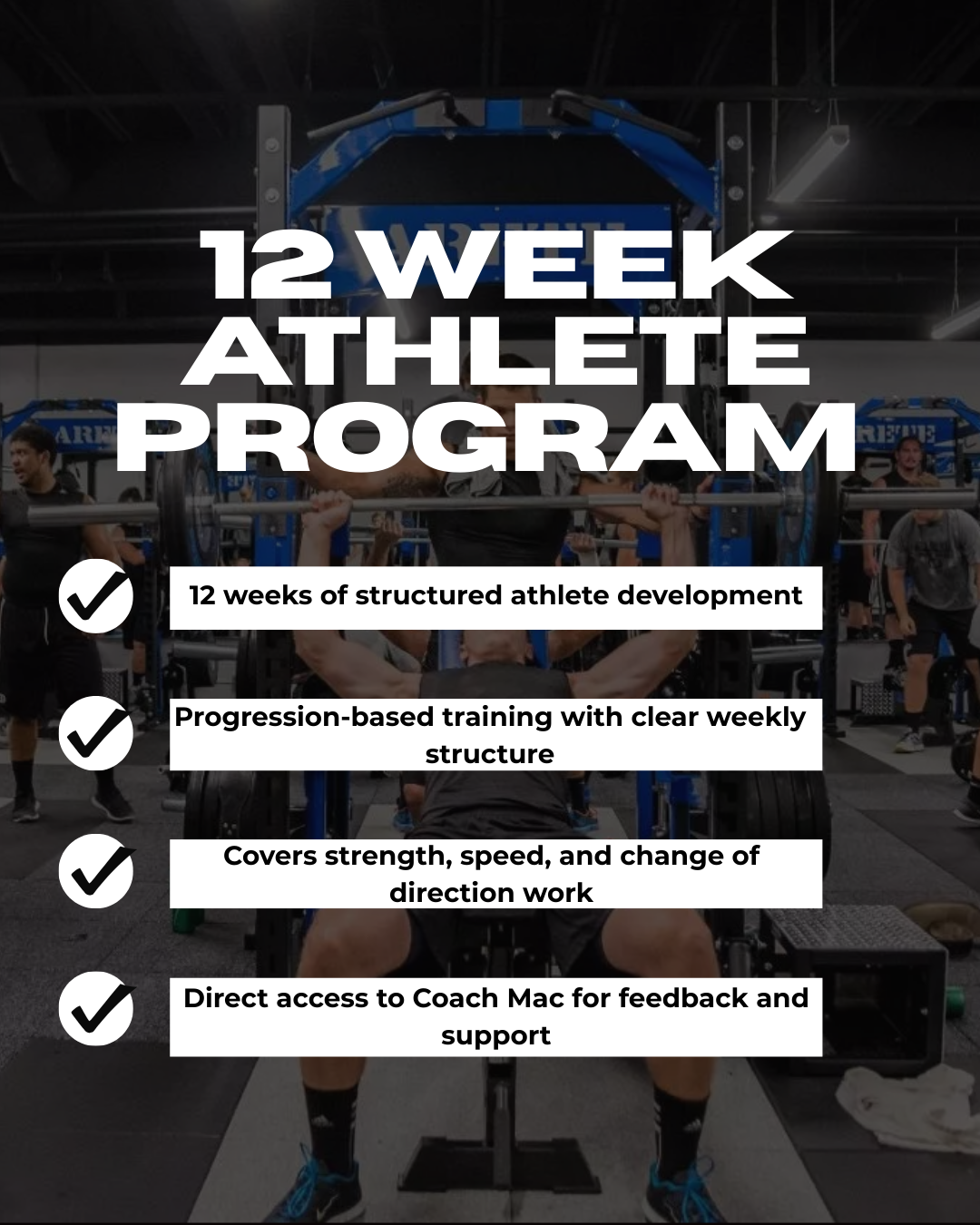 12 Week Athlete Program