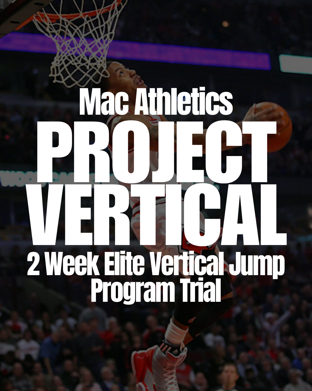 2 Week Vertical Jump Program
