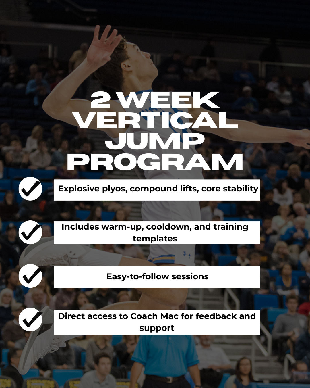 2 Week Vertical Jump Program
