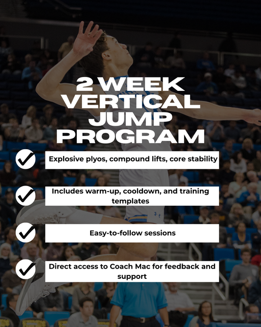 2 Week Vertical Jump Program